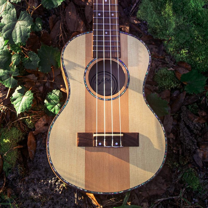 Other, 4-String Premier Spruce Pine Tenor Ukulele (2957-A)