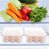 LDXDRU Pack of 2 Egg Boxes 12 Eggs Storage Fridge