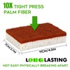 Natural Plant Based Scrub Sponge 12 Pack, Palm Fiber Scrubbing
