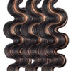 Fridnae P1B/30 Bundles Highlight Body Wave Human Hair Extensions, 22-22-22