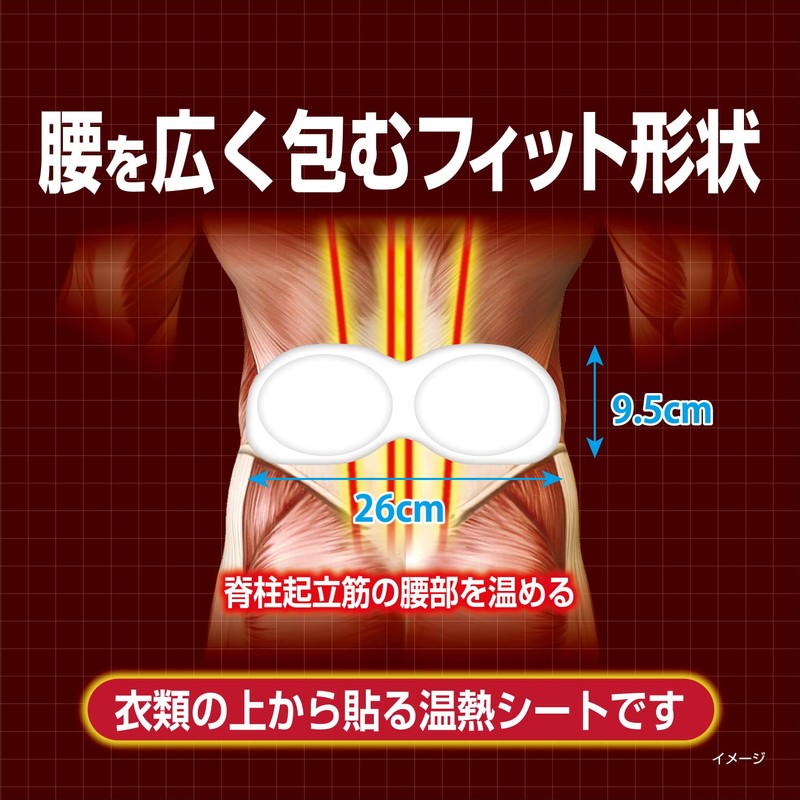 血流改善 腰ホットン つらい腰痛を温熱でやわらげる 衣類に貼る 10枚入 小林製薬