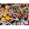 Gourmet Lollipops ORIGINAL GOURMET Large Lollipops/Suck