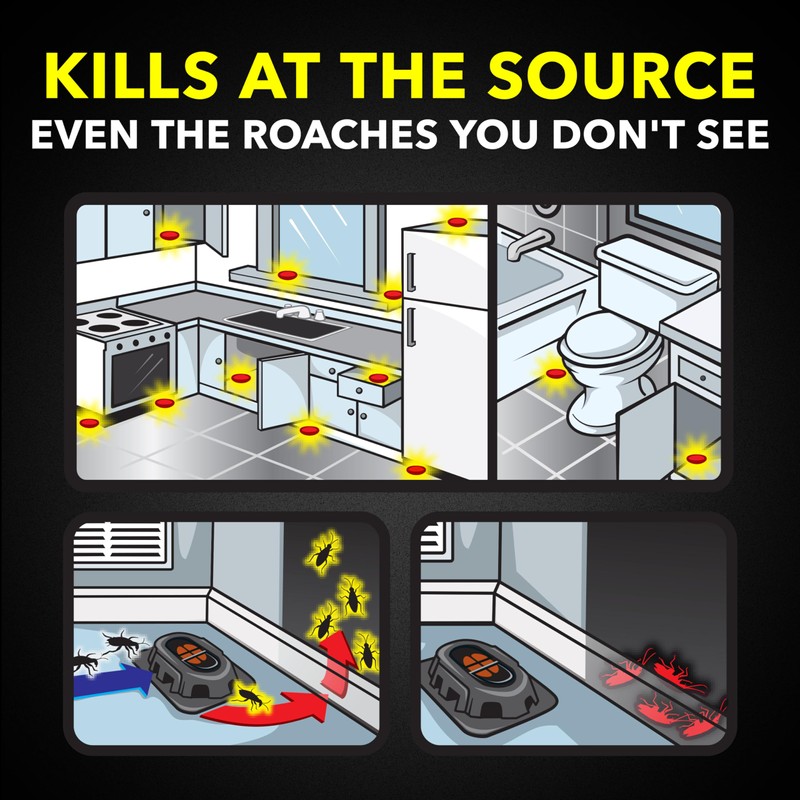 Raid Double Control Large Roach Baits (8 Count (Pack of