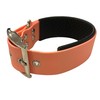 BioThane Padded Dog Collar Large Width Choice of Colours (Neck