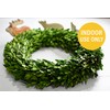 Preserved Boxwood Wreath for Summer Decor – 16 Inch Lush
