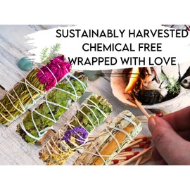 White Sage Variety Pack, Limited Edition White Sage Smudge Sampler Set - Cinnamon, Peppermint, Eucalyptus Floral, Rosemary Flower Smudging Gift Set (Seasonal Sage Variety Set)