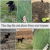 BTINESFUL 8ft 12ft 20ft 30ft 50ft 75ft Dog Tie Out