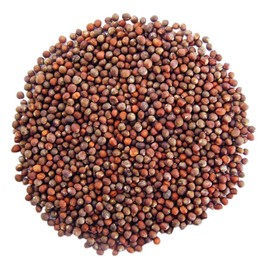 Organic Broccoli Seeds for Sprouting, 8 Ounces – Non-GMO, Vegan, Kosher, Sirtfood, Bulk. Rich in Sulforaphane, Vitamin C. Grow Sprouts, Microgreens for Salads, and Sandwiches. High Germination Rate.