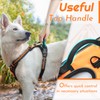Eagloo Dog Harness for Large Dogs, No Pull Service Vest