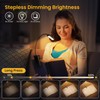 GARITE Leselampe Buch Klemme, GARITE 10 LED Buchlampe mit Stufenloser
