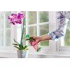 Miracle-Gro Ready-To-Use Orchid Plant Food Mist, 8 oz., Orchid Food