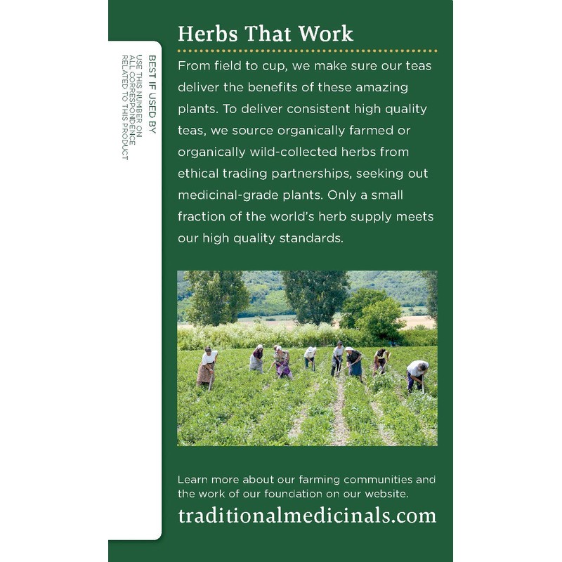 Traditional Medicinals Organic Spearmint Herbal Tea, 16 Tea Bags (Pack
