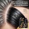 Black Hair Dye Shampoo 3 en 1, Tinte para Cubrir