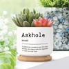 DecStic Askhole Definition Planter Ceramic Bible Verse Round Flower Pots