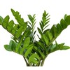 Raxcelivia Pack of 10 - Artificial Plants Real Touch Faux