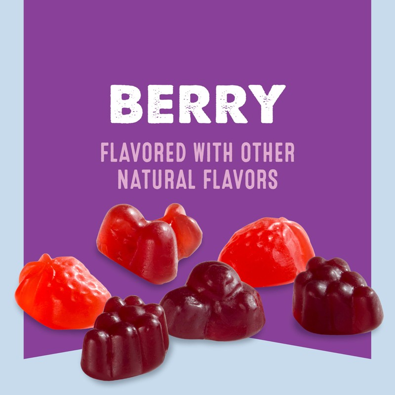 Mott's Fruit Flavored Snacks, Berry, Gluten Free Snack, Family Pack,