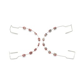 TTKBHHQ-Metal bracket and orthodontic strap set, 1 set of props with metal wires for orthodontists to explain, props set for dental students to practice, temporary dental decorations. (red)