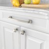 Amerdeco 10-Pack Brushed Satin Nickel Cabinet Hardware: 7 Inch(178mm) Hole