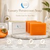 Persimmon Soap 3 Pack with Foaming Bag – Body Odor