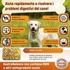 GastroBalance cani probiotici - 60 bocconcini masticabili naturali prebiotici e