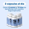 ANCIENT HEALTH | Alga Espirulina Sealife 5 Frascos con 100
