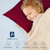 Atiksh Beddings Pack of 2 Toddler Travel Pillow Cases 100%