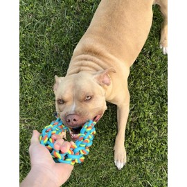 ALLUM Dog Chew Toys for Small Dogs - Puppy Teething Toys, Puppy Chew Toys for Teething, Puppy Toys & Teething Toys for Puppies, Tug of War Toys to Keep Them Busy and Stimulated, Dog Interactive Toys