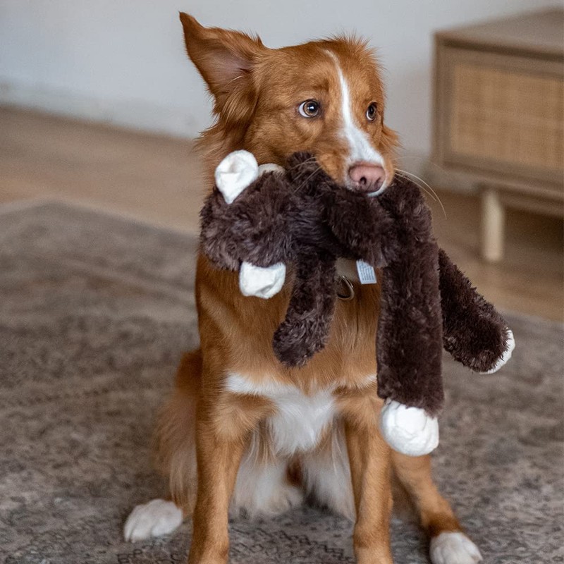 Nobby Plush monkey 43 cm