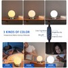Small Table Lamp, LED Table Lamp with Eye-Caring Glass Lampshade