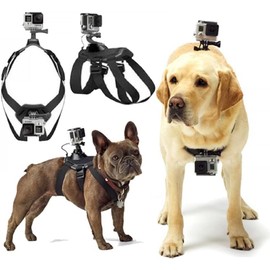 Dog Harness Gopro, Soft and Adjustable Gopro Dog Harness Mount for Large, Medium and Small Dogs Can Be Used for Chest and Back Fixation Suitable for All Models of Gopro Hero