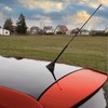 HEYNER Car Radio Aerial Antenna AM/FM Bee Sting Roof Mast