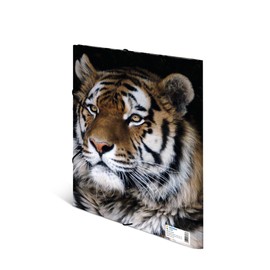 HERMA Collector's Folders A4 Leopard Set of 3 Children's Plastic Corner Folder with Animal Motif, Elastic Band, Inner Flaps and Inner Print for Boys and Girls