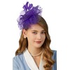 Cizoe Fascinators Hat for Women Tea Party Headband Kentucky Derby