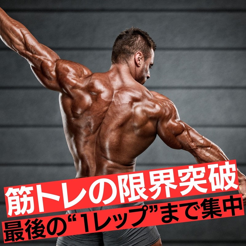 Chilmonkey Power Belt, Training Belt, Muscle Training Belt, Lifting Belt,