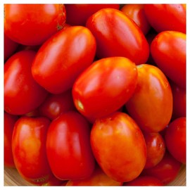 Everwilde Farms - 1 Oz Rio Grande Tomato Seeds - Gold Vault