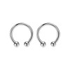 FANSING 2pcs Internally Threaded Circular Barbell 8mm/10mm 16g/14g/12g/10g, Metal, not