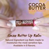 Nature's Bees Cocoa Butter Lip Balm Moisturizer, 24 Pack with