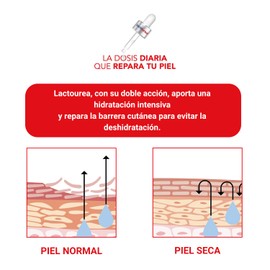 Lactovit - Repair Shower Gel Lactourea, Moisturises, Nourishes and Repairs, Strong and Youthful Skin, Creamy and Light Texture, with Protein Calcium and Lactourea, for Very Dry or