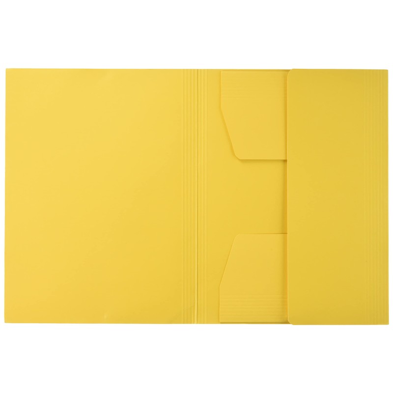 Leitz 39810015 folder - folders (Yellow, Cardboard, A4, Portrait, Elastic