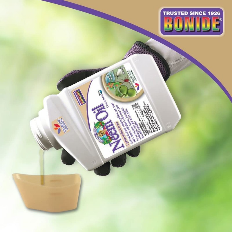 Neem Oil Fungicide Miticide Insecticide Conc