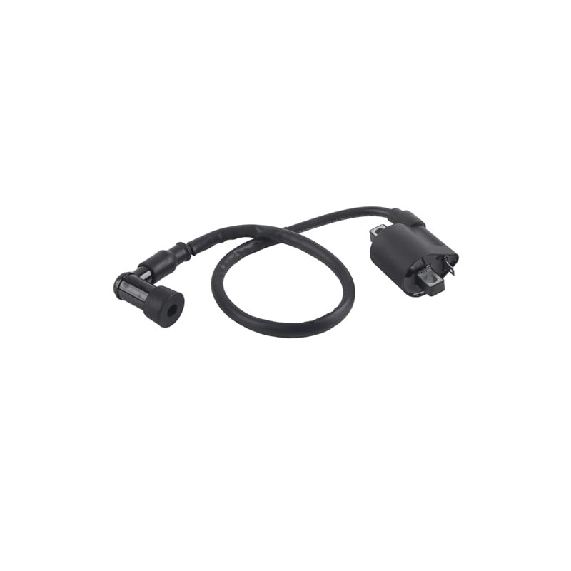 Motorcycle Ignition Coil, ATV Racing Ignition Coil for 150CC 200CC