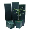RooTrimmer Square Seedling Nursery Pots 3.15 Inches 100 Pcs for
