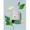 [Missha] NEW Artemisia Calming Cream 50ml / [미샤] NEW 개똥쑥 진정 크림 50ml