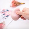 [Set of 2] Nail Art Brush, Nail Dust Removal, Dust