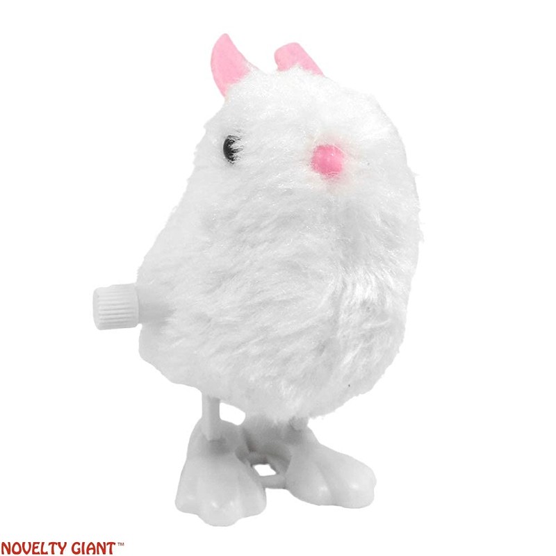NOVELTY GIANT WWW.NOVELTYGIANT.COM 2 Wind Up Hopping Bunny Easter Egg