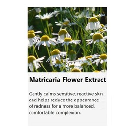 jNE Anskin Original Modeling Mask Powder Pack | Korean Skincare Face Pack for Calming Irritated Skin, Deep Hydration & Pore-Cleansing Care (8.47oz / 240g, Hyaluronic)