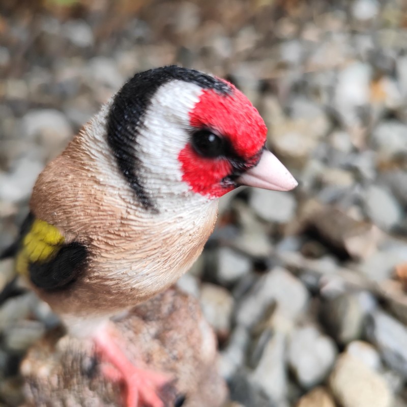 Vivid Arts - Singing Songbird – Realistic Goldfinch Bird Ornament
