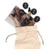 Retreatment Botanics Discovery SAMPLE Pack