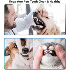 AFTREN Double Headed Tarter scraper Dental Tooth Scaler Plaque Remover (Perfect for Cats and Dogs) Stainless Steel Teeth Cleaning Tool (Silver)