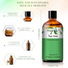 PHATOIL Tea Tree Essential Oil 3.4 fl oz (100 ml)